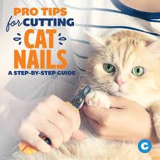 My cats' claw has grown into her paw, and she's in pain. Pin On Pet Parenting