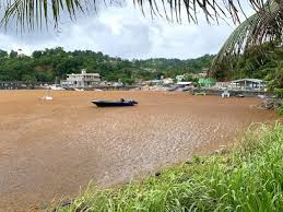 5 Caribbean Countries Benefit From Us$2M In Sargassum Fight | Loop  Caribbean News