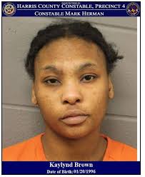 Mark Herman, Harris County Constable Precinct 4