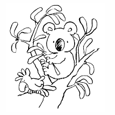 coloriage koala australie a imprimer gratuit bear coloring pages free animal de mots b