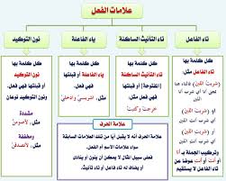 ملخص قواعد اللغة العربية للمرحلة الابتدائية Pdf