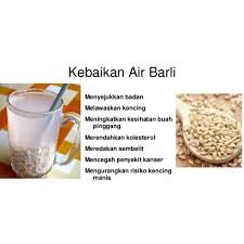 Jika tanah masih terasa lembap dari sesi penyiraman sebelumnya, bisa selain tanah yang basah, tanda tanaman kelebihan air selanjutnya adalah daunnya layu. Biji Barli Price Promotion May 2021 Biggo Malaysia