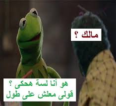 نكت نكت الضفدع شاهد اجمل نكت الضفدع كيرميت هتموتك من الضحك بالصور موقع مفيد لك Funny School Memes Funny Picture Jokes Arabic Funny