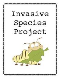 A Problem Based Learning Unit Ecosystems Project Based Learning Invasive Species Problem Based Learning
