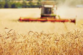 نتیجه جستجوی لغت [subsidy] در گوگل