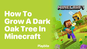Block Of The Week: Dark Oak Wood | Minecraft