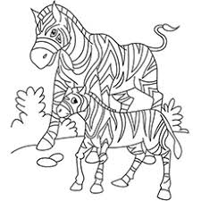 Zebra coloring pages for kids. Top 20 Free Printable Zebra Coloring Pages Online