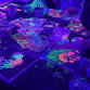 Parent and Kid Glow Paint Party event image