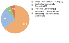 Image result for Hugonia platysepala