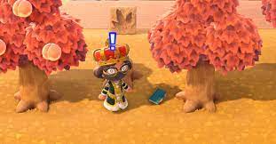 Animal Crossing New Horizons Lost Item Guide Digital Trends In 2021 Animal Crossing Digital Trends Pink Pouch