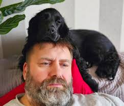 My dog will drag a pillow