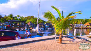 Maybe you would like to learn more about one of these? Key Largo Kampground