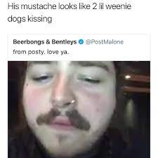 His Mustache Looks Like 2 Lil Weenie Dogs Kissing Beerbongs Bentleys 9 Postmalone From Posty Love Ya 3 P I Daily Lol Pics
