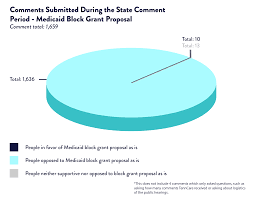 Tennessee Medicaid Block Grant State Comment Period Analysis