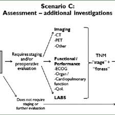 mesothelioma is a rare and aggressive tumour with dismal prognosis arising in the pleura and associated with asbestos exposure. Pdf Guidelines For The Diagnosis And Treatment Of Malignant Pleural Mesothelioma