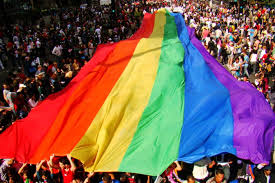 Para responder esta incógnita, habrá que fue ese día, en ese bar, donde comenzaron los disturbios. Dia Del Orgullo Lgbt Canal 4 Las Rosas