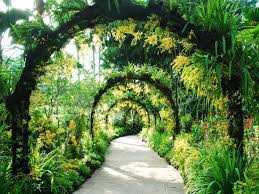 Beautiful Gardens In The Middle Of Cities Singapore Botanic Gardens Botanical Gardens Beautiful Gardens