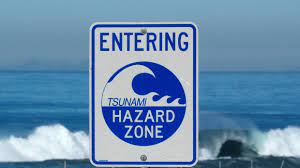 A watch means a tsunami may impact hawaii. Tsunami Watch For Hawaii Samoa Lifted After Series Of Powerful Quakes Strike New Zealand Triggering Evacuations Rt World News