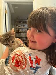 Lost 8 weeks old kitten in Middletown