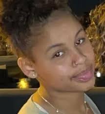 Niles, Michigan Gun Violence Memorial