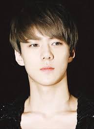 Visual Types Of Idols Exo Sehun Exo Sehun