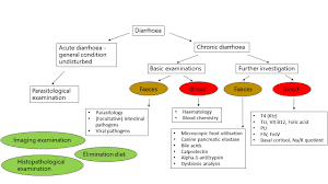 Image result for Chronic Diarrhea