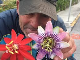 Lloyd's Tropical Bike Tour