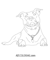 Pitbull coloring page free printable coloring pages. Pitbull Coloring Page Coloring Home