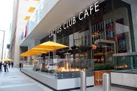Toronto evcil hayvanlara i̇zin veren oteller. Cactus Club Cafe Toronto Trnto Com