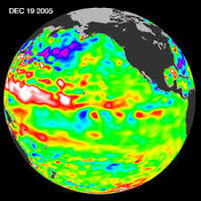 Image result for Nero Oceano 2005 159