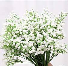 We have a wide variety of collection. Hilingo Artificial Baby Breath Gypsophila Diy Wedding Decoration Flower White Colour Flowers Real Touch Flowers Pu Flower Set Of 30 Buy Online In India At Desertcart In Productid 22289124