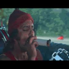 A police car suddenly appears from behind and tails them. Best Cheech And Chong Musical Album Gifs Gfycat