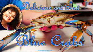 These are third party technologies used for things like interest based etsy ads. Blue Crab Boil Louisiana Home Style Youtube