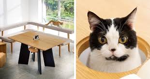 View in gallery cat coffee table home design. Japanese Cat Furniture Allows Your Feline Friend To Join You At The Table