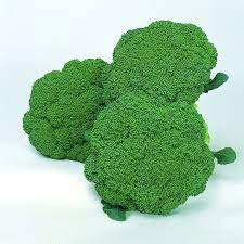 Broccoli raab also known as rapini, rabe, and turnip broccoli, broccoli raab is a traditional italian green with sharp flavored shoots topped by small bud clusters. Broccoli Green Comet All America Selections