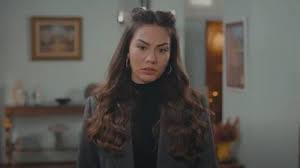 Zeynep'ten ancak bu beklenirdi! tv8 kanalının sevilen dizilerinden. Episode 23 Dogdugun Ev Kaderindir Trailer And Summary Tv Series Synopsis Website