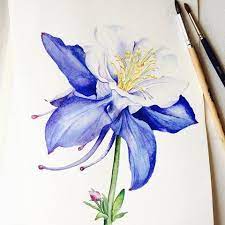 Pin On Watercolor Flowers