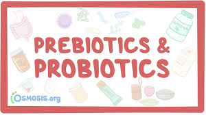 Probiotic bacteria are the friendly type of bacteria that helps keep you fit and well. Prebiotics Probiotics Youtube