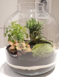 Terrarium Soil Layers And Their Functions With Pictures Smart Garden Guide Soil Layers Open Terrariums Smart Garden