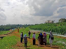 Ukuran 1 rante berapa meter harus dihitung dulu. Tanah 1 Kavling Berapa Meter Persegi