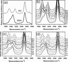Infrared absorption 197k —dry specimens at 105 for 2 hours. Phase Transformation In Thiamine Hydrochloride Tablets Influence On Tablet Microstructure Physical Properties And Performance Journal Of Pharmaceutical Sciences