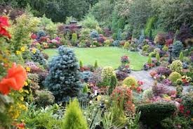 50 Ideas Of Coniferous Trees In Landscape Design Photo Names Methods Properties Beautiful Gardens Landscape Design English Cottage Garden