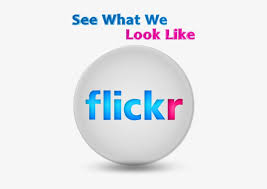 Discover and download all free and most popular transparent png flickr logo icons or symbols in various styles such as monocolor, multicolor, outlined or filled. Afi Flickr 3d Button 2 Flickr Logo 3d 406x522 Png Download Pngkit