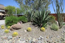 Beautiful Desert Landscape Planted With Various Kind Of Cactus Plants And Desert Trees Plus Desert Plants With Stone Sl Desert Landscaping Plants Desert Plants