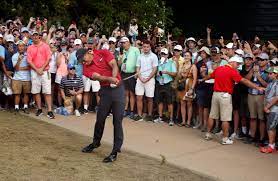 Ferguson Best Measure Of Tiger Woods Is When He Has The Lead