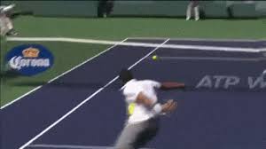Share a gif and browse these related gif searches. Coolest Gif S Of Pro S Page 14 Talk Tennis