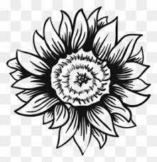 Free Free 253 Sunflower Svg Free Black And White SVG PNG EPS DXF File