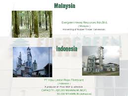 5 100 carb p1 batch no: Briefing Evergreen Fibreboard Berhad 23 Rd March 2010