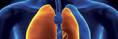 Le talcage pleural est une technique de soudure entre eux des deux feuillets de la plèvre : Le Pneumothorax Chl