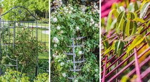 que faire au jardin en fevrier zoom sur les fleurs jardins conseil jardinage fleurs